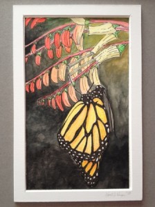 Knape, Wendi. Monarch Butterfly, 2008. Ink and watercolor on paper. 