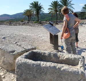 Stone feeding trough. Photograph taken by Kelly Bixby in Megiddo, Israel. 2014.
